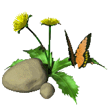 Cveće i leptiri - Page 16 Animated-flower-image-0116