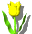 animated-flower-image-0142