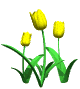 animated-flower-image-0224