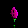 animated-flower-image-0344