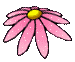 animated-flower-image-0353