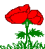 animated-flower-image-0362