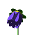 animated-flower-image-0365