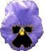 animated-flower-image-0371