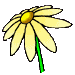 animated-flower-image-0382