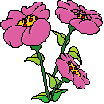animated-flower-image-0420