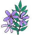 animated-flower-image-0430