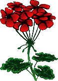 animated-flower-image-0454