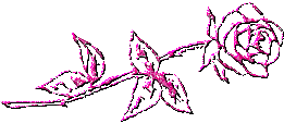 animated-glitter-image-0349