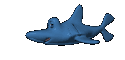animated-shark-image-0024