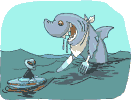 animated-shark-image-0055