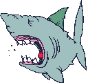 animated-shark-image-0064