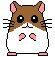 animated-hamster-image-0030