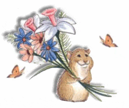 animated-hamster-image-0130