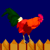 animated-chicken-image-0106