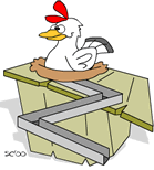 animated-chicken-image-0159