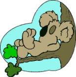 animated-koala-image-0016