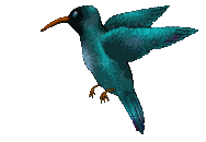 ▷ Hummingbirds: Animated Images, Gifs, Pictures & Animations - 100% FREE! ▷ Hummingbirds: Animated Images, Gifs, Pictures & Animations - 100% FREE!