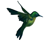 ▷ Hummingbirds: Animated Images, Gifs, Pictures & Animations - 100% FREE!