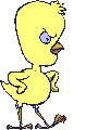 animated-chick-image-0033