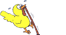 animated-chick-image-0106