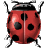 animated-ladybird-image-0012