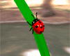 animated-ladybird-image-0033