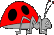 animated-ladybird-image-0039