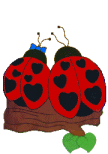 animated-ladybird-image-0061