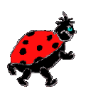 animated-ladybird-image-0066