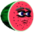 animated-melon-image-0027