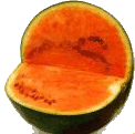 animated-melon-image-0029