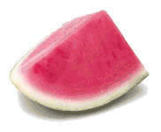 animated-melon-image-0041