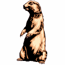 animated-groundhog-image-0057
