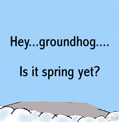 animated-groundhog-image-0121