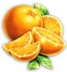 animated-orange-image-0041