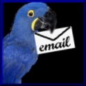 animated-parrot-image-0079