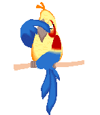 animated-parrot-image-0101