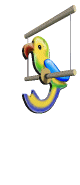 animated-parrot-image-0110