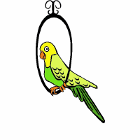 ▷ Parrots: Animated Images, Gifs, Pictures & Animations - 100% FREE! ▷ Parrots: Animated Images, Gifs, Pictures & Animations - 100% FREE!