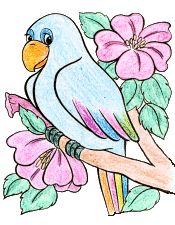 animated-parrot-image-0122