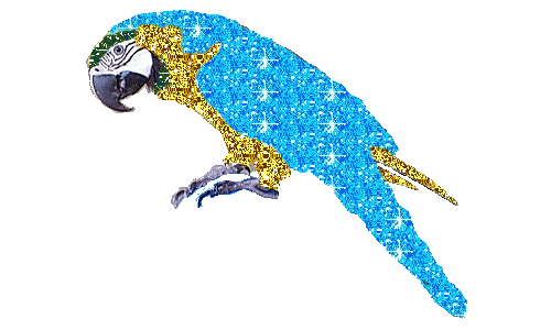 ▷ Parrots: Animated Images, Gifs, Pictures & Animations - 100% FREE! ▷ Parrots: Animated Images, Gifs, Pictures & Animations - 100% FREE!