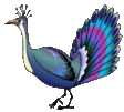 animated-peacock-image-0010