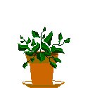 animated-plant-image-0096