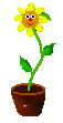 animated-plant-image-0097