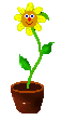 animated flower