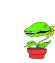 animated-plant-image-0103