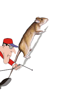 animated-rat-image-0036