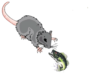 animated-rat-image-0145