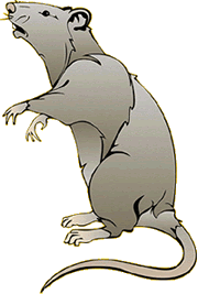 animated-rat-image-0167